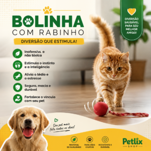 bolinha interativa2